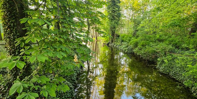 Park Miłości w Lubniewicach