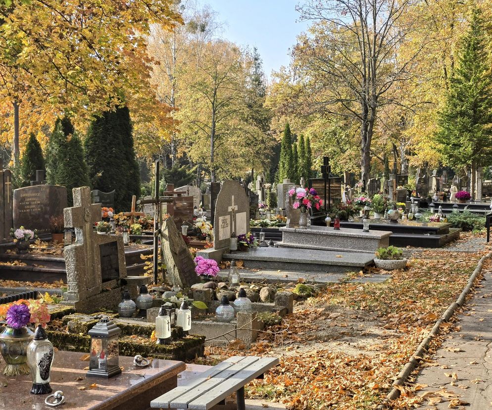 Uroczystość Wszystkich Świętych