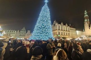 Jak przeżyć święta i nie zwariować? Eksperci z Dolnego Śląska radzą