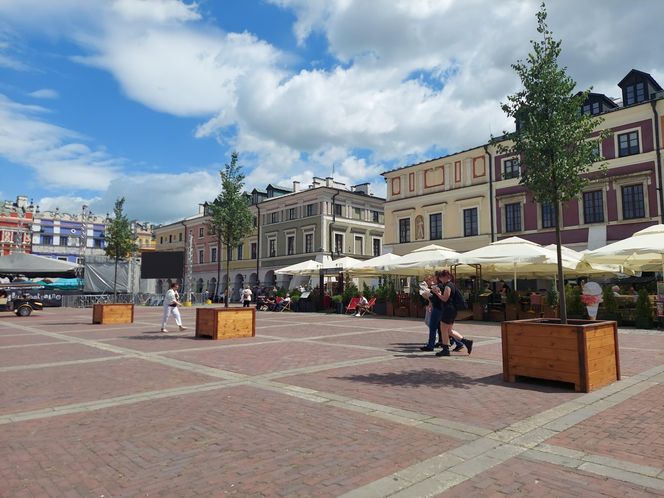 Lipy na Rynku Wielkim