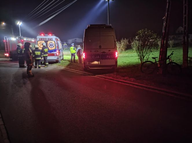 Śląskie: Koń kopnął 11-letniego chłopca. Lądował LPR