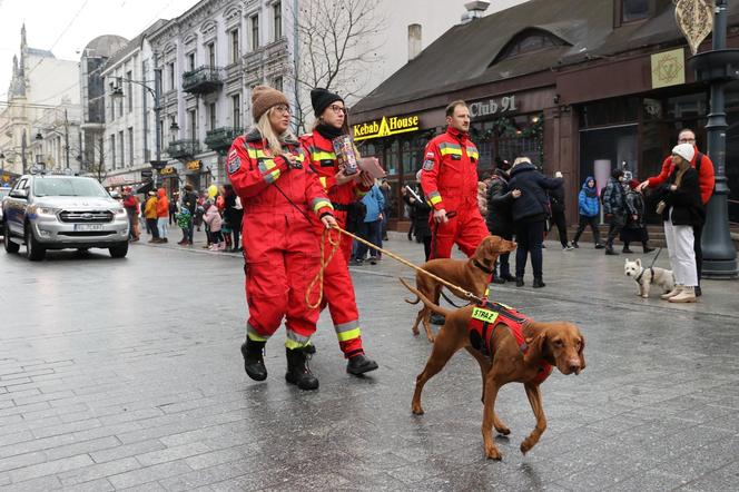 WOŚP 2024. Wielka szarża na Piotrkowskiej