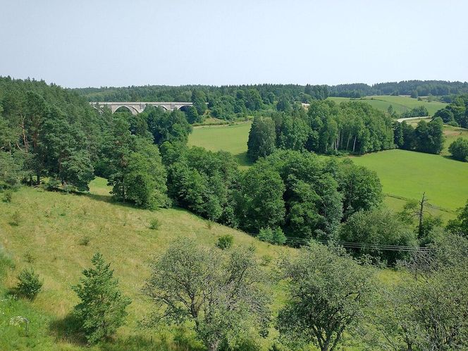   Wieża widokowa w Stańczykach. Zobacz zdjęcia