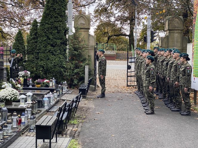 Te groby robią wrażenie