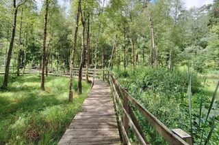 Leśny ogród w małej miejscowości pod Olsztynem. Popularna atrakcja już niebawem otwarta!