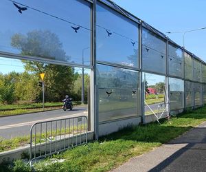 Straty liczone są w dziesiątkach tysięcy złotych