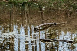 Beskidzie Morskie Oko
