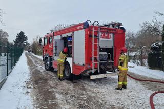 Pożar na działkach w Zielonej Górze