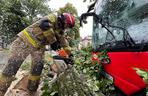 Drzewo przewróciło się na miejski autobus. Są osoby poszkodowane