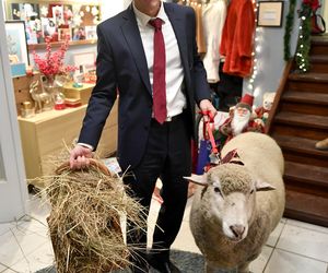 Marcin Mroczek rozwód