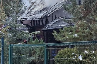 Ogromny pożar domku letniskowego w Koskowicach. Budynek spłonął doszczętnie 