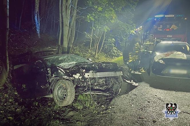 Samochód ściął drzewo, silnik wypadł spod maski
