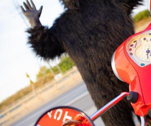 Nadchodzi Jungle Night w FACTORY Kraków. Rabaty sięgną nawet 50 procent!