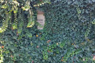 To drugi NAJSTARSZY cmentarzy w Polsce. Jest w Ostrowie Wielkopolskim