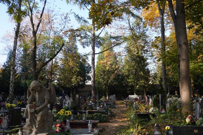 Cmentarz Jeżycki na poznańskich Ogrodach