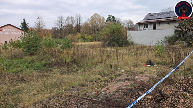 Zabójstwo w Kampinosie