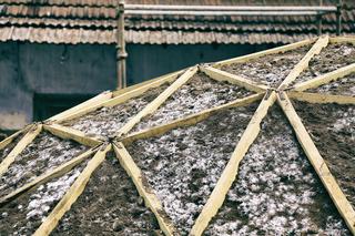 Shell Mycelium Pavillion