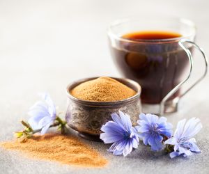 Kawa z cykorii: dlaczego warto ją pić? 