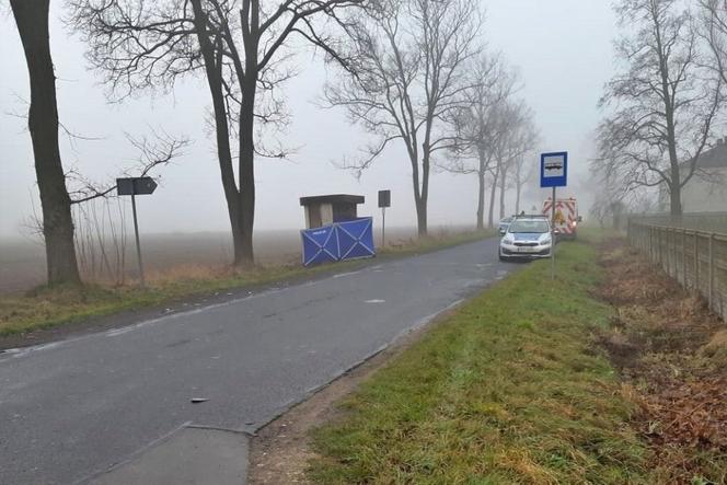 Śmiertelny wypadek w m. Zalesie