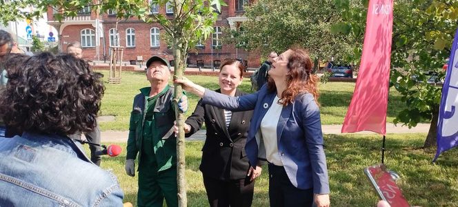 Obietnica frekwencyjna dotrzymana! Prezydentki Gdańska i Gdyni zasadziły drzewo