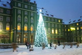 Miejska choinka przed urzędem miasta