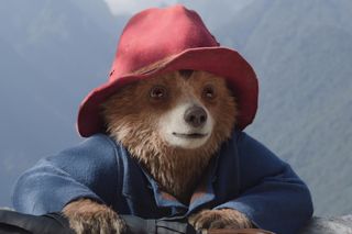 Paddington w Peru. Polska dubbing pełen gwiazd! Jest nawet Robert Makłowicz