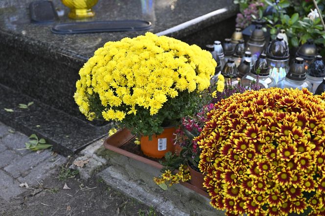 Poruszający widok na grobie syna Danuty Holeckiej, Juliana