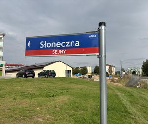 Dino w Sejnach