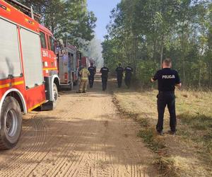 Pożar we wsi Budy. Policjant zauważył dym i ruszył na pomoc