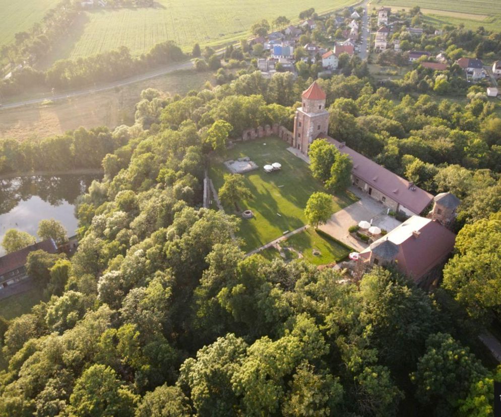 Miasto, które słynie ze szpitala psychiatrycznego i zamku. Tu urodził się Lewandowski