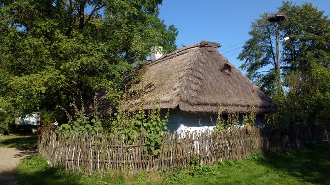 Ta wieś jest „Perełką Roztocza”! 