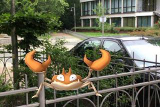 Pokemony w Chorzowie