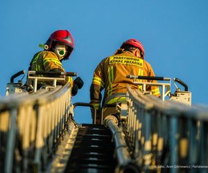  Kawle. Pożar zakładu przetwórstwa drobiowego. 120 strażaków walczy z żywiołem w czwartek, 14 sierpnia. Jeden z nich zaginął [ZDJĘCIA]