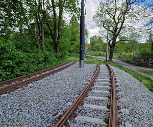 Torowisko tramwajowe na Babiej Wsi w Bydgoszczy zarośnięte chwastami. Tramwaje zniknęły stąd lata temu
