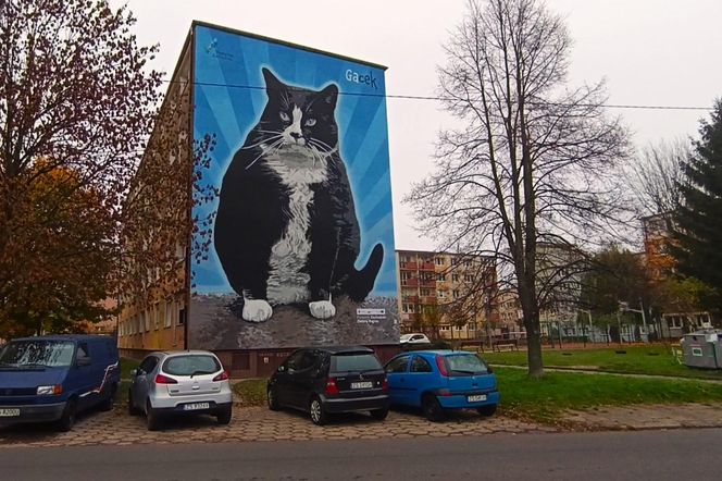 Mural z kotem Gackiem już odsłonięty