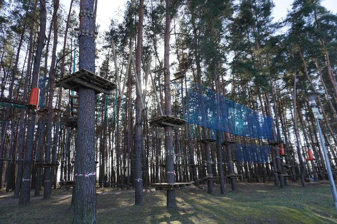 Powstaje park linowy w Białymstoku! To nowa inwestycja na plaży Dojlidy