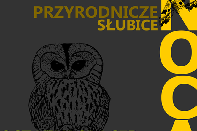 Przyrodnicze Słubice nocą