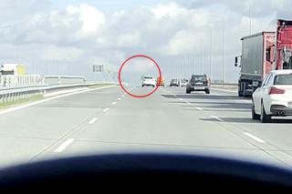 Katarzyna Cichopek po pracy popędziła do ukochanego