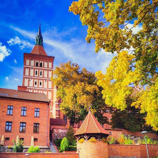 Zabytkowa katedra św. Jakuba w Olsztynie zostanie wyremontowana. Takich prac nie było od 100 lat [ZDJĘCIA]