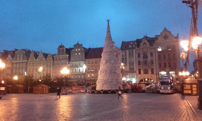 Choinka na wrocławskim rynku