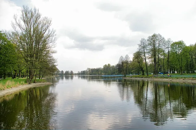Koszmarne znalezisko w Stawach Stefańskiego. Zwłoki kobiety przy brzegu kąpieliska