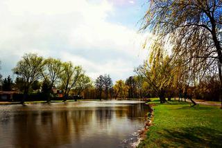 Pamiątka z wiosennego spaceru [ZDJĘCIE DNIA]