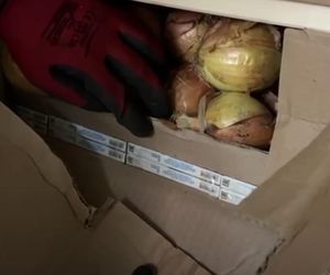 Z zewnątrz tylko cebula. W środku – towar wart fortunę