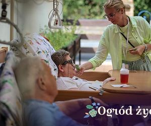 Szczecin. Zbiórka na ogród zimowy dla pacjentów hospicjum