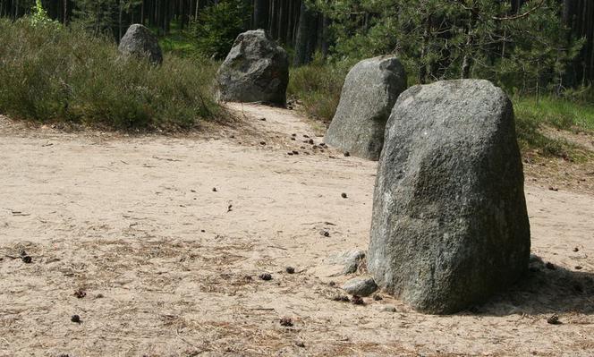 Rezerwat Archeologiczny - "Kręgi Kamienne" w Grzybnicy