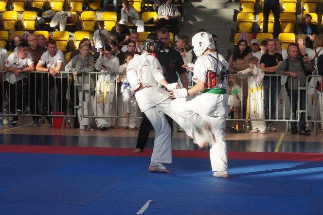 X Międzynarodowy Turniej Karate Shinkyokushin Skarżysko-Kamienna CUP 2024