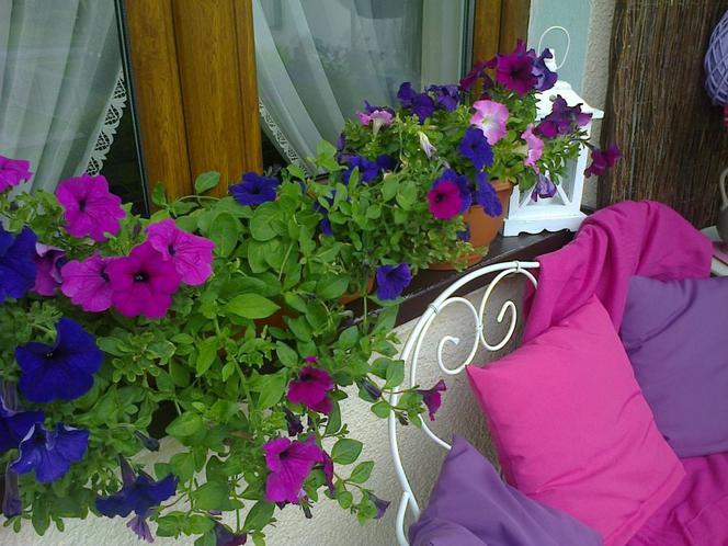 Balkon w odcieniach fioletu zdjecie nr 3