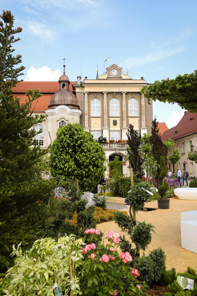 Drugi dzień Daisy Days 2024. Niesamowite aranżacje ogrodowe