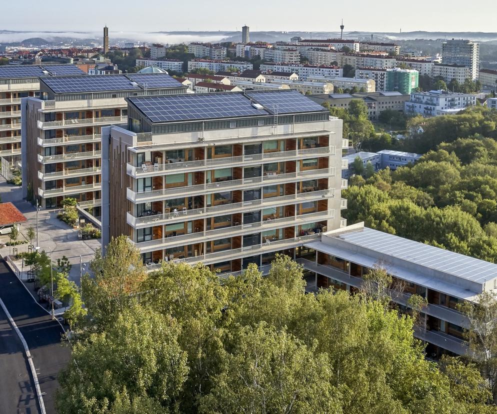 Zielony Göteborg. Wirtualna podróż studyjna