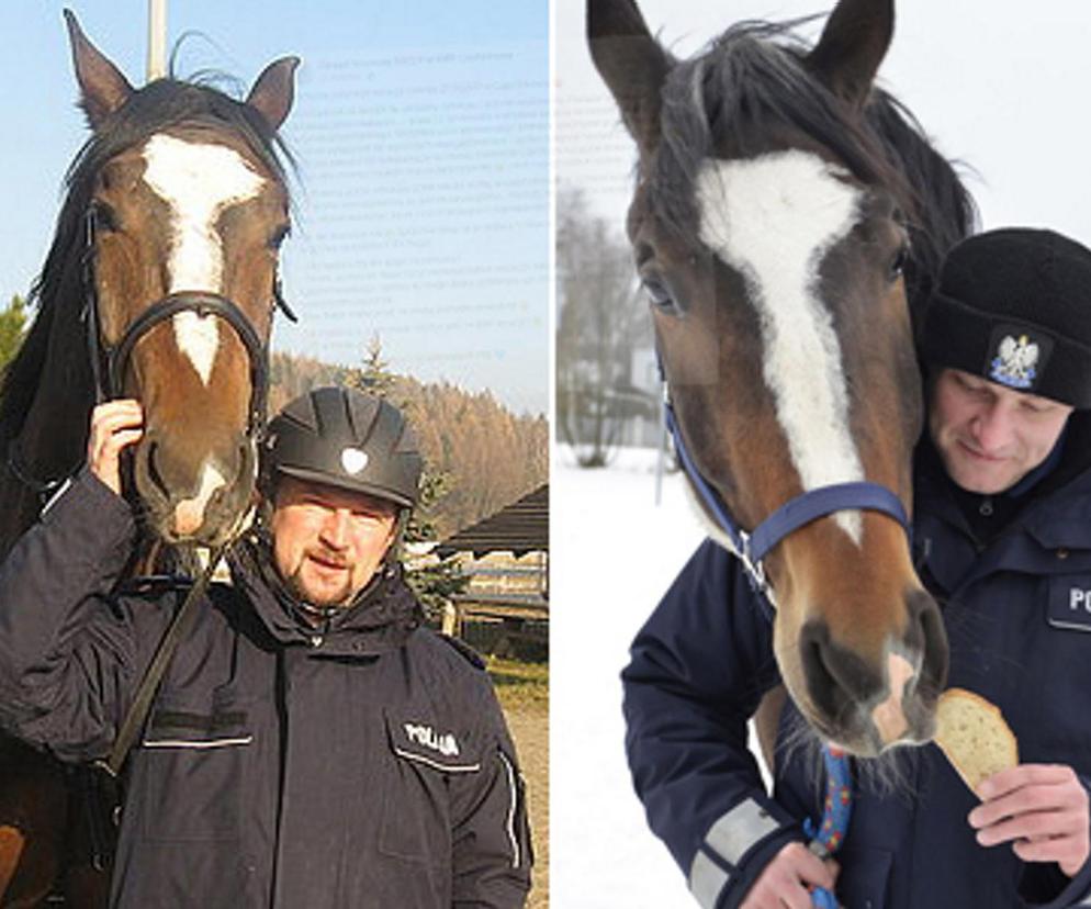 Policjanci walczą o emeryturę dla... konia. Blue Baker przez 12 lat służył w konnym oddziale policji 